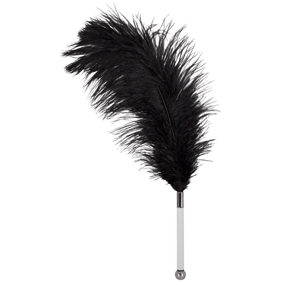 Feather black acrylic - obrazek 2