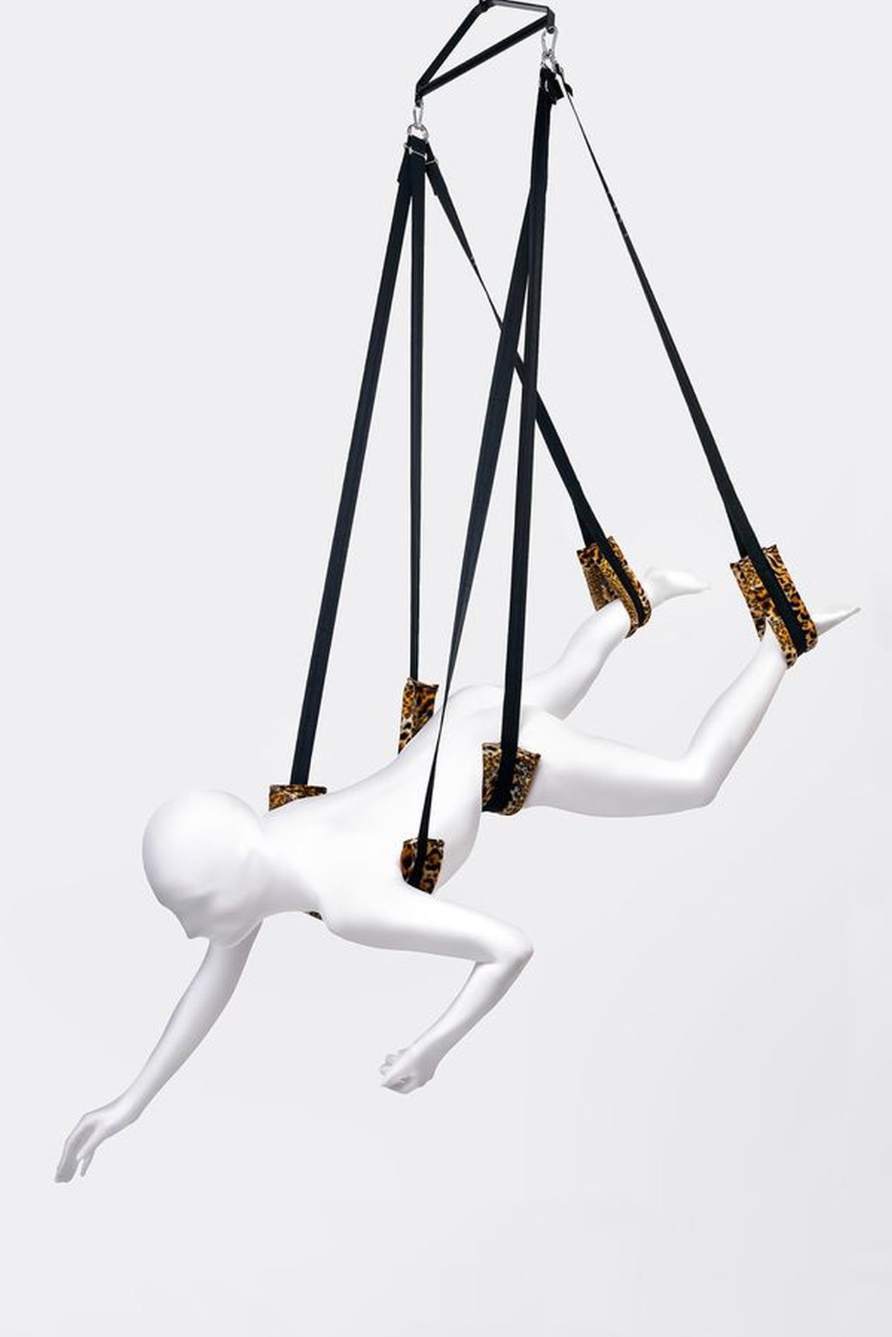 Anonymo Sex swing