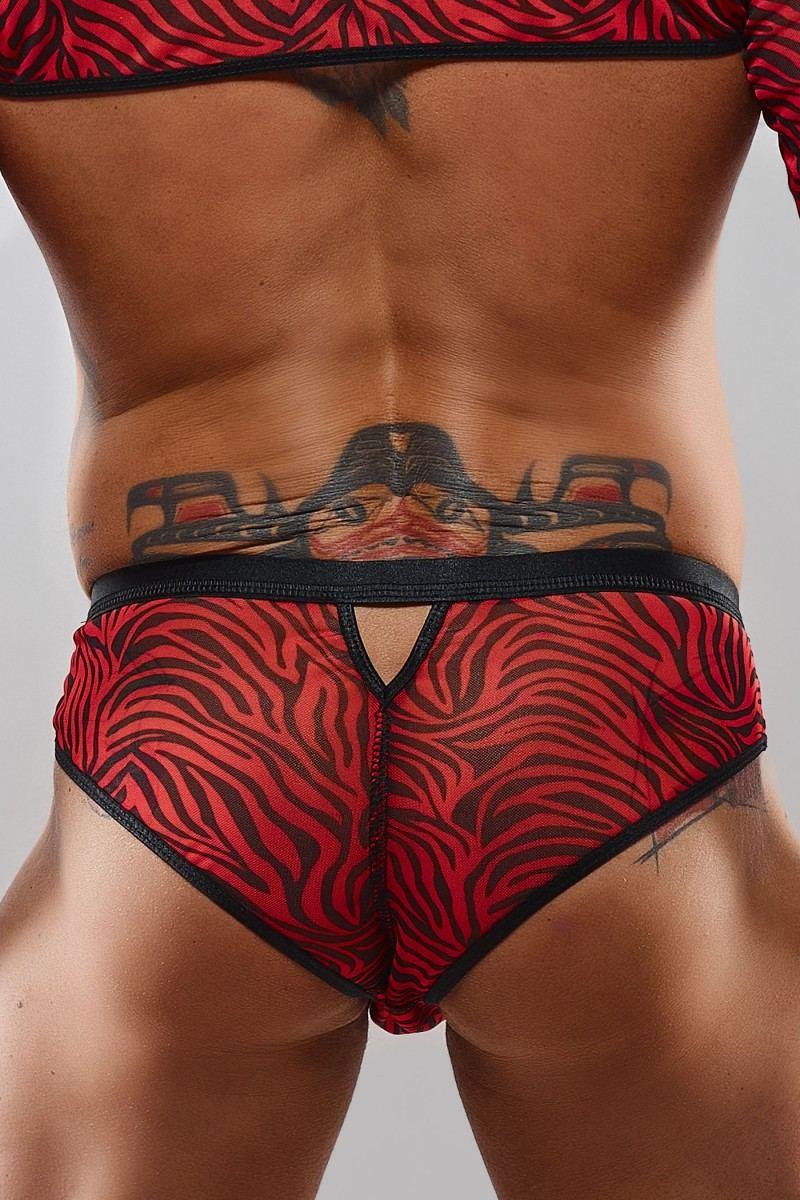 Majtki brazyliany Regnes Fetish Planet zebra M - obrazek 2